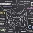 Healing Our Second Brain – The Gut