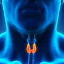Healing Your Thyroid – Your Diet Basics